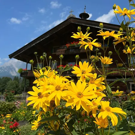 Frühstückspension Mirabelle 3*