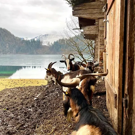 לינה וארוחת בוקר Mirabelle 3*