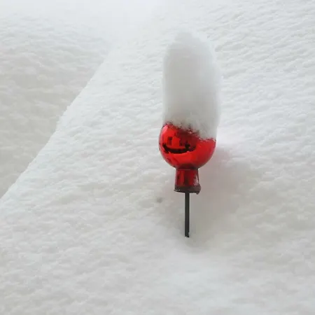 Mirabelle אלמאו