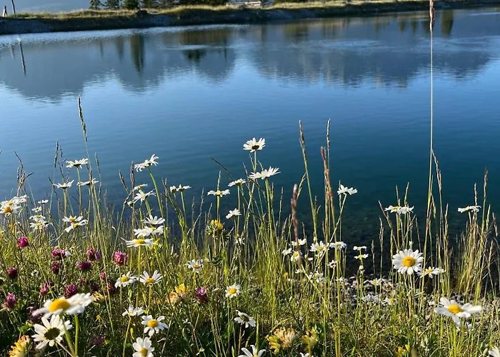 Mirabelle Bed and breakfast 3*