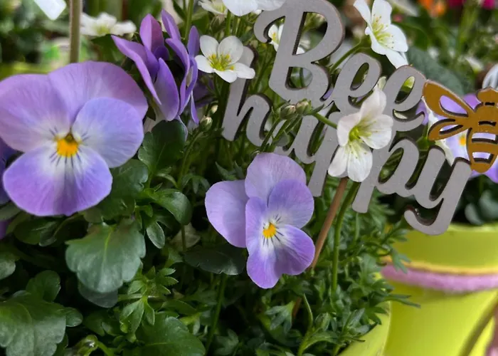 Frühstückspension Mirabelle 3*