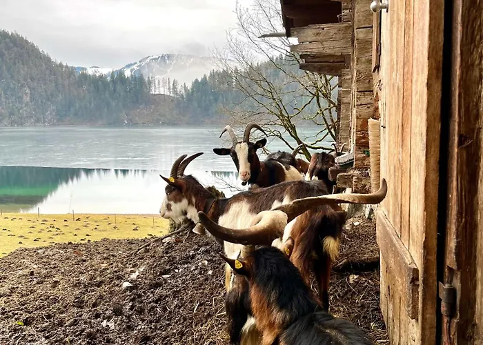 Frühstückspension Mirabelle 3*