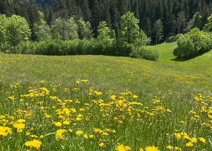 Frühstückspension Mirabelle 3*