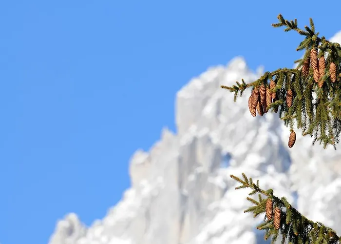 Frühstückspension Mirabelle Ellmau