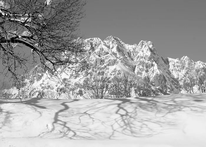 Mirabelle Frühstückspension