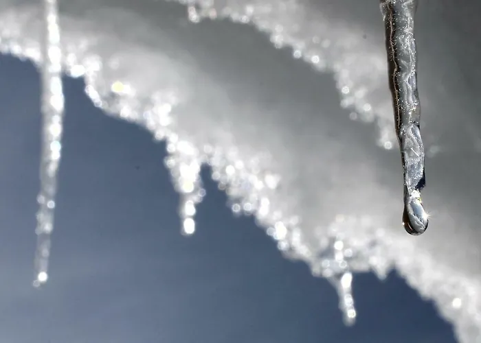 Mirabelle Frühstückspension