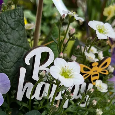 Mirabelle Элльмау