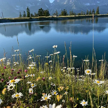 Mirabelle Отель типа 