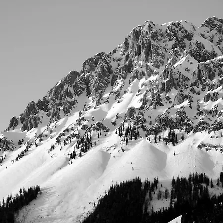 Mirabelle Отель типа 