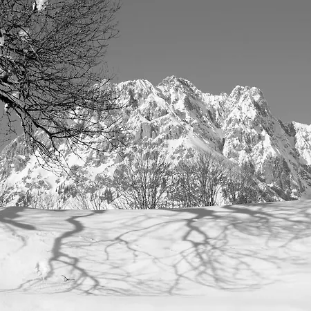 Mirabelle Отель типа 