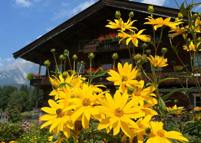 Bed & Breakfast Mirabelle 3*