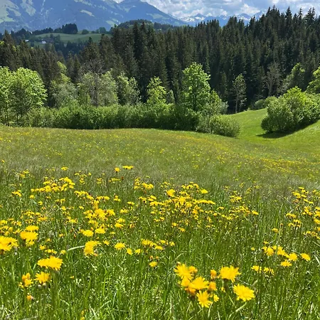 Frühstückspension Mirabelle 3*